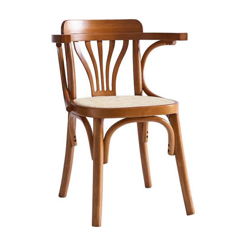 Nordic Dining Chair Designer Chair Retro Thonet 062